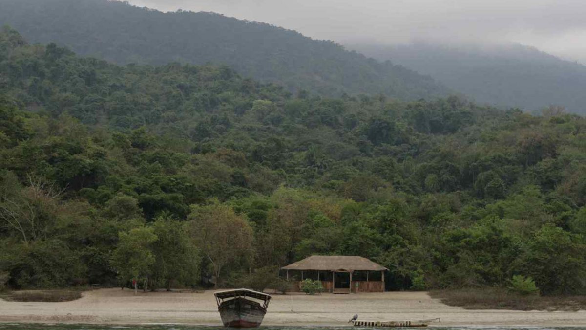 Trekking chimpanzes