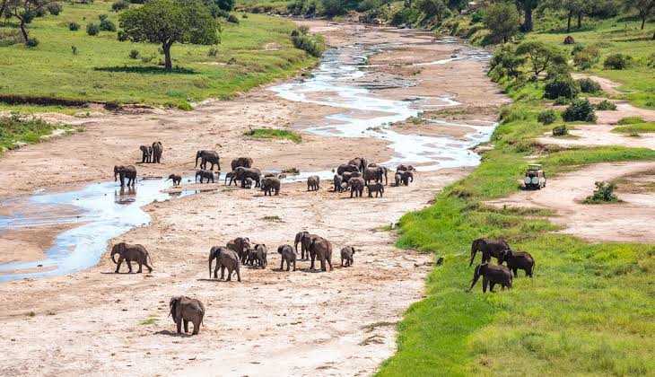 Riviere Tarangire